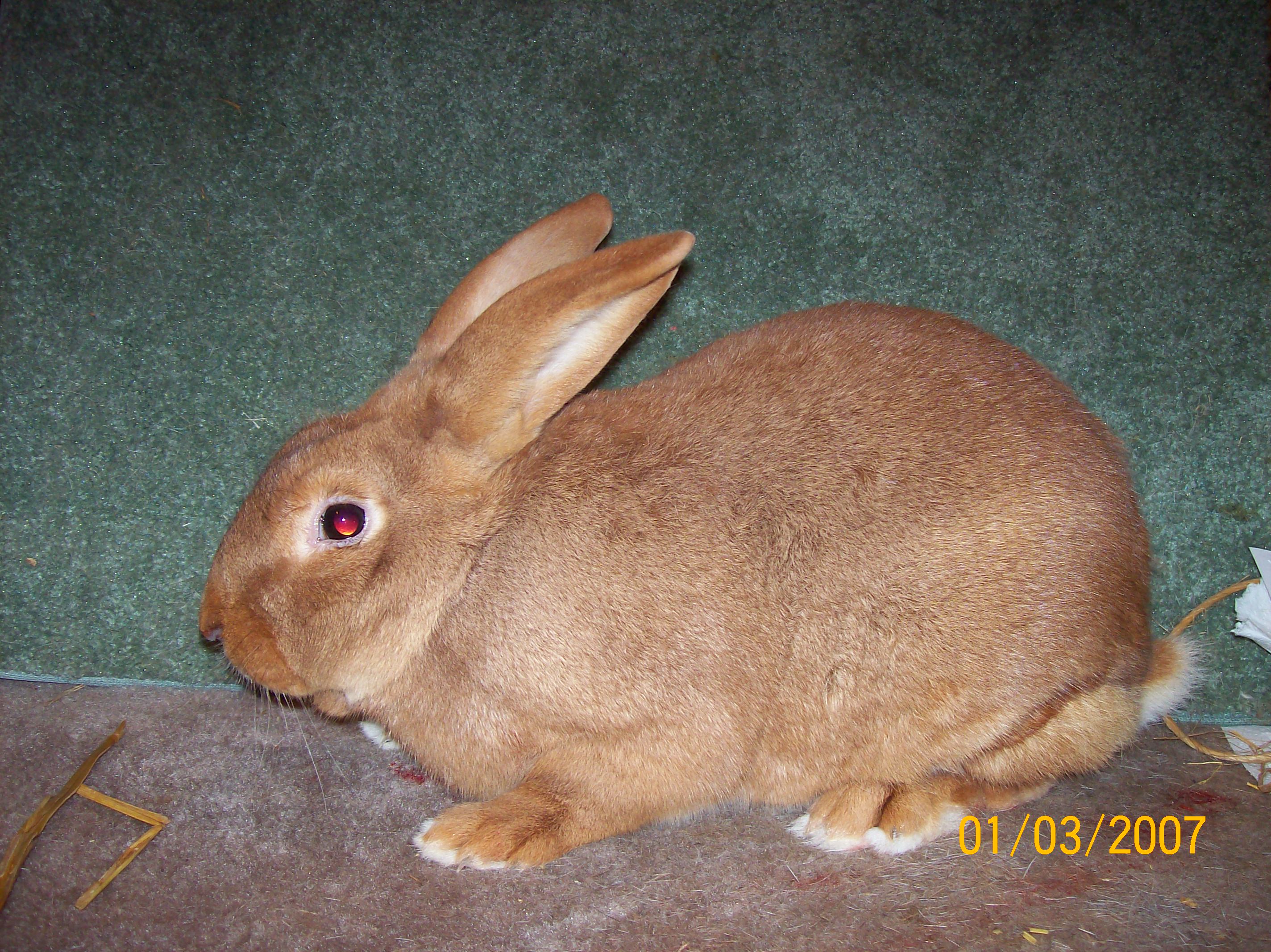 100_1762.jpg