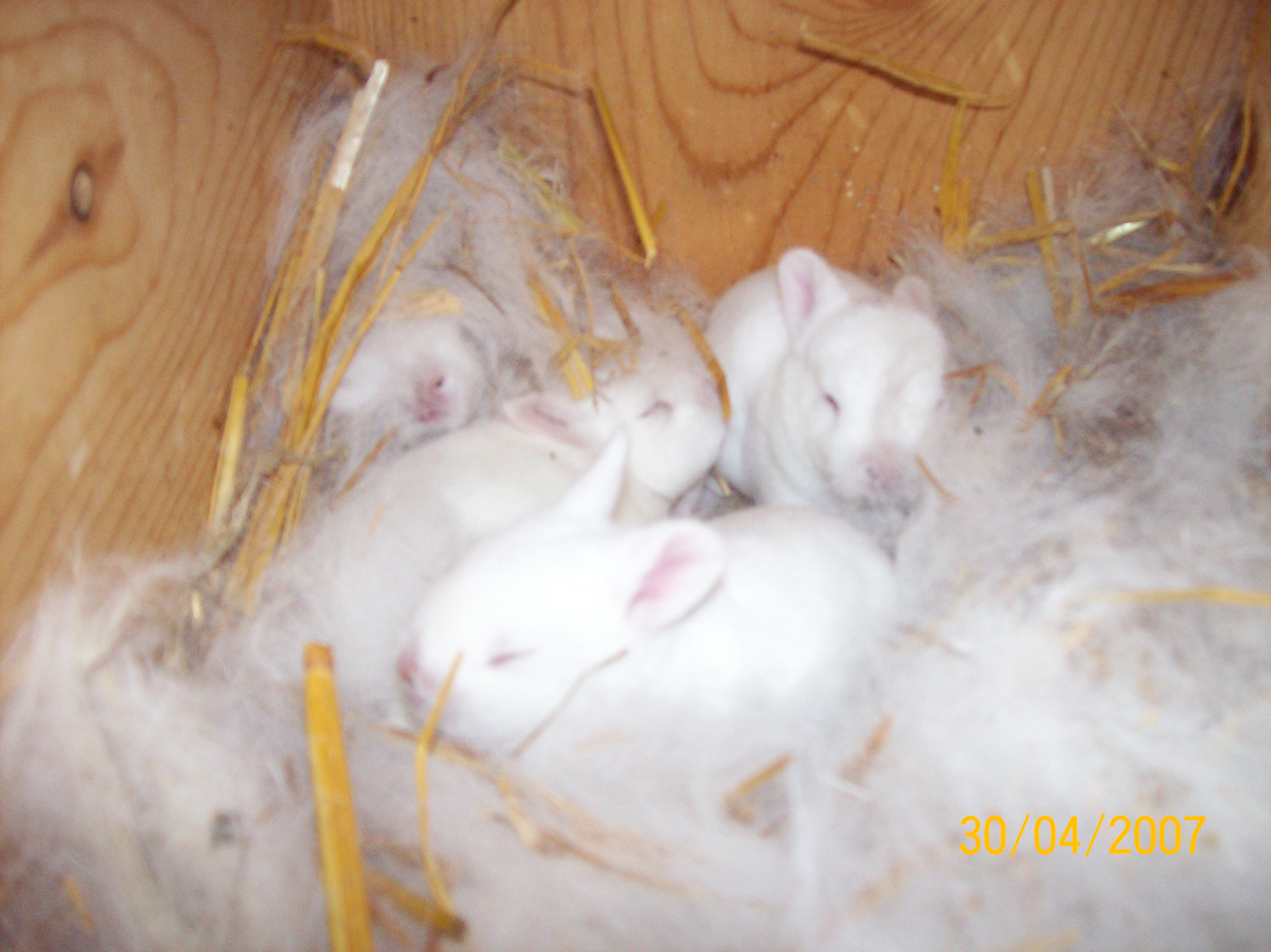 100_2203.jpg