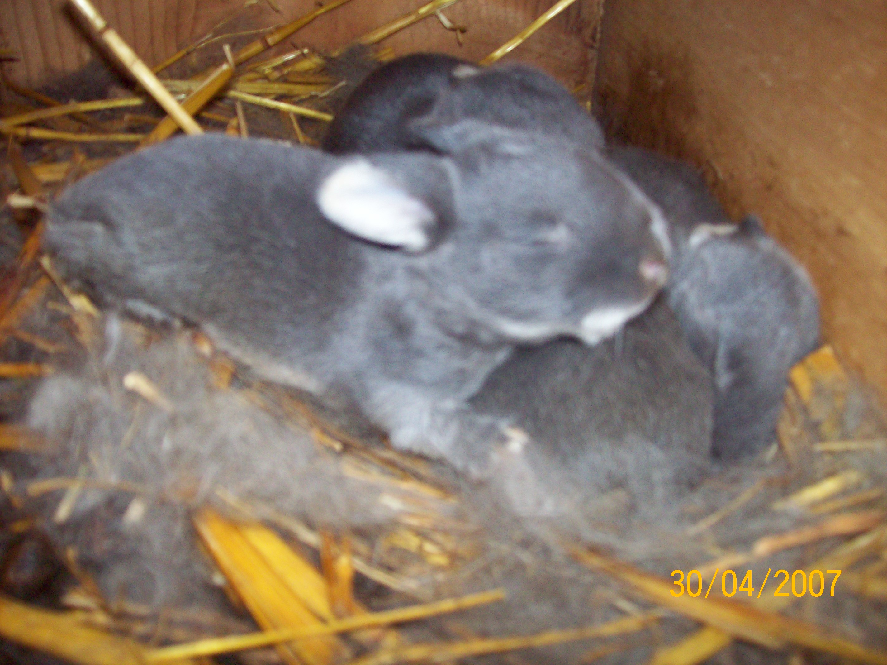 100_2209.jpg